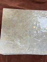 Feuille de nacre blanche de coquille de mer naturelle feuille d'ormeau de nouvelle-zélande pour l'artisanat d'art meubles décoration de la maison