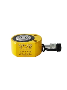 Servicio OEM: Cilindro Hidráulico Ultrafino RSM-500 de 50T, Gato Hidráulico de Baja Altura de Acción Simple con Servicios de Ensamblaje Personalizados - Product Image 6