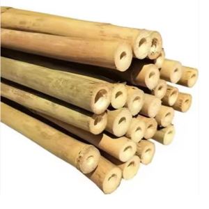 Fabricante de estacas de bambú OEM con tratamiento personalizado de Vietnam para soporte de plantas agrícolas - Product Image 1