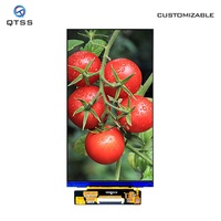 5-Zoll IPS LCD TFT Kapazitiver Touchscreen 720*1280 Auflösung 5-Zoll Touch-LCD-Monitor 5,0-Zoll TFT-LCD-Anzeigemodule