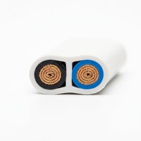 BVVB Doppeladerkabel 2 AWG 300V Flachkupferleiter PVC-Isoliert PVC-Ummantelung Elektrokabel IEC Hausinstallationskabel für den Haushalt