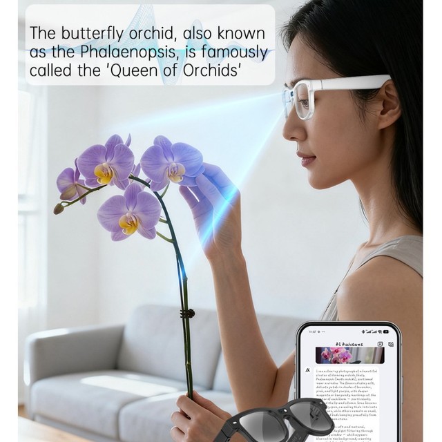 AI Glasses Real-Time Translation 120+ Languages Open Ear Audio Bluetooth Interchangeable Lenses B2B Travel Business Conference