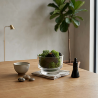 Diffuseur d'arômes en verre avec mousse préservée écologique et pierre de lave, roche volcanique naturelle, décoration d'intérieur, parfum d'ambiance