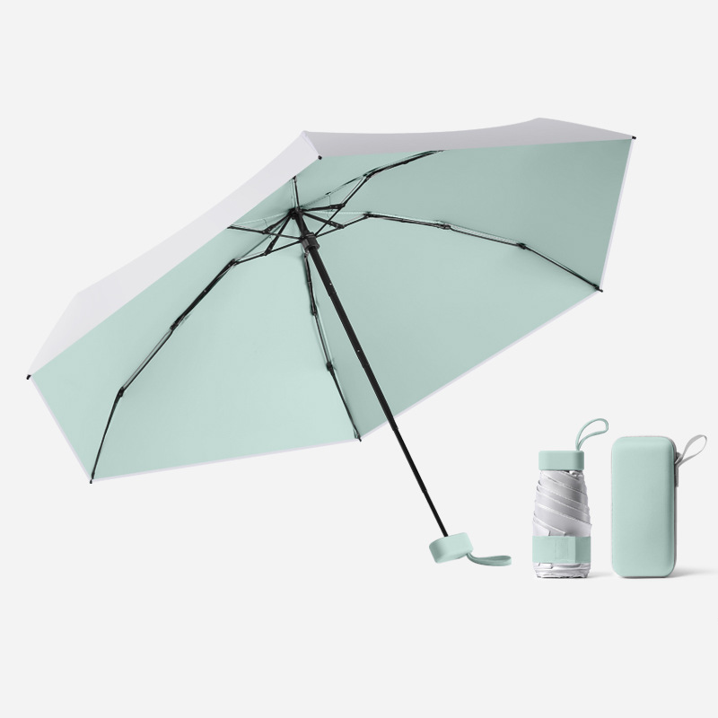 Vert menthe avec boîte