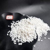 Masterbatch de remplissage en carbonate de calcium (CaCO3) pour PP, PE, HDPE, LDPE – Réduit les coûts de production, bonne dispersion