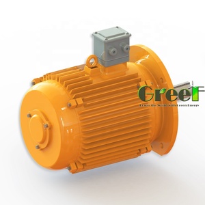 Generador de Energía Magnética de Baja Velocidad Personalizado GREEF, 1KW 150RPM - Product Image 6