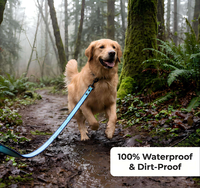 NOVIPET Laisse pour chien imperméable bicolore en PVC, texture ondulée antidérapante, longue laisse d'entraînement en sangle enduite pour usage intensif