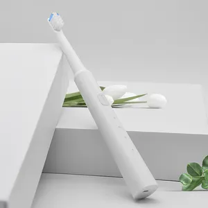 Original Label Ecofriendly Cleaning Adult Usb Type C Oral Slim Electric Electronic Tooth Brush In Bathroom For All Famaly