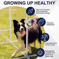 Spaß und einfache Outdoor-Agility-Trainings geräte Premium-Nylon-Hunde hindernis kurse für das Haustier training