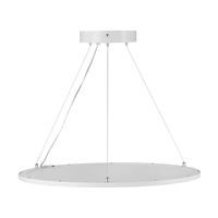 Fourniture d'usine 40-100W plafond LED panneau rond mince suspendu panneau lumineux ultra-mince monté en surface pour bureau hôtel centre commercial