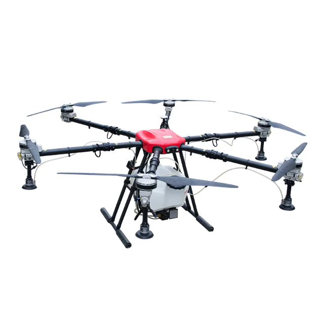 Ailes-article par défaut-article par défaut-article par défaut