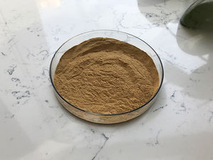 Harga Bersaing 7% Ekstrak Serbuk Silika Organik Horsetail - Product Image 2