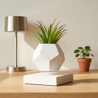 Olla de Levitación Magnética con Capacidad de 500g y Espacio Libre de 20mm - COGIDEA COG-AB02