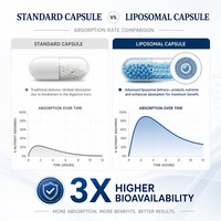 Complexe de champignons liposomales en vrac, marque privée, naturel, pour adultes, supplément bio-actif pour la santé cognitive et le soutien immunitaire