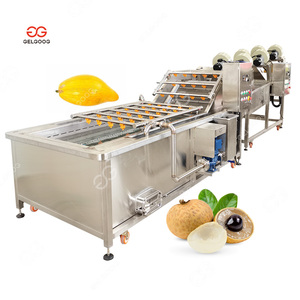 Gelgoog Mustard Washer Tiesa Équipement de nettoyage de fruits Machine à laver Longan - Product Image 1