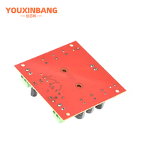 Amplificateur audio numérique mono canal DC 12V 24V 150W TPA3116DA TPA3116D2 avec préamplificateur XH-M544
