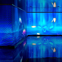 Écran invisible holographique muxwave d'intérieur à haute transparence Écran de panneau publicitaire à LED Affichage 3D pour la publicité