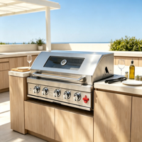 Barbecue encastrable 5 brûleurs, cuisine extérieure modulaire, barbecue à gaz avec brûleur infrarouge et fenêtre de visualisation pour jardin, cour arrière, fête barbecue