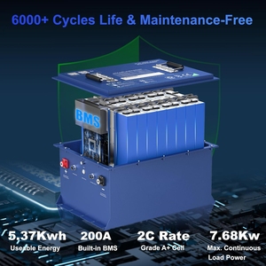 Golf Cart <b>Battery</b> <b>48V</b> 51.2V 100Ah 105Ah <b>Battery</b> 200A Smart BMS 6000+ Cycles with 20A Waterproof Charger Color Customized - Product Image 2