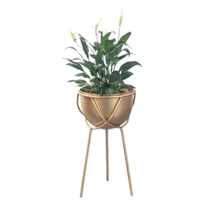 Soporte de Metal de Lujo para Plantas con Juego de 2 Macetas Doradas, Macetas de Interior para Decoración de Sala de Estar, Decoración del Hogar, Maceteros Modernos de Hierro - Product Image 2