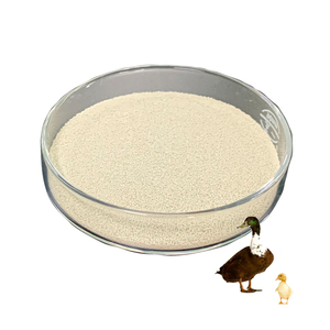 Probiotic thức ăn bổ sung men Saccharomyces cerevisiae nhà sản xuất <span class=keywords><strong>premix</strong></span> cho Gà Thịt - Product Image 3