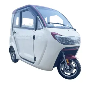 Idoso Lazer Mobilidade Fechada Scooter Nacional padrão doméstico pequeno mini triciclo elétrico motocicleta com galpão
