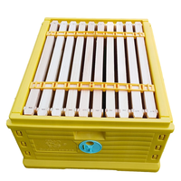 BEESTAR Ruche en plastique thermique à 3 couches de qualité alimentaire Équipement d'apiculture neuf et autres équipements d'élevage