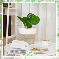 Panier de rangement en corde de coton tressé fait main de style japonais, best-seller transfrontalier, couvercle de pot de fleurs mignon et polyvalent