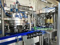 Machine de remplissage de canettes de bière artisanale en acier inoxydable W005, automatique, haute précision, contrôlée par PLC, pression isobare pour les boissons
