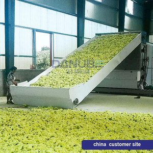 Machine de séchage de feuilles de thé, de riz et de café en acier inoxydable 304 de qualité alimentaire - Product Image 2