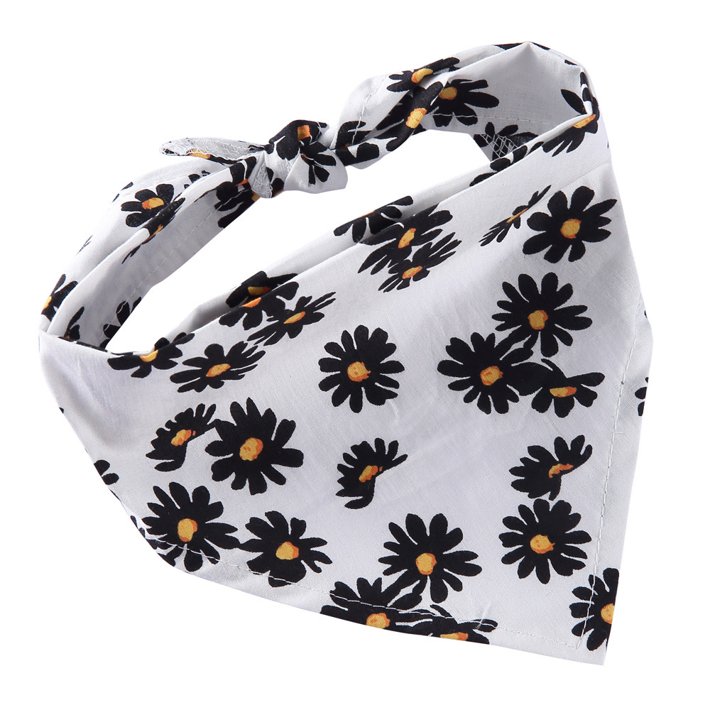 SJJ38 marguerite blanche
