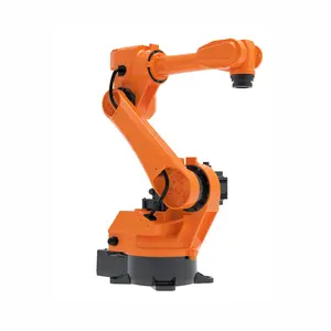 Robot industriale a 6 assi braccio collaborativo movimentazione saldatura stampaggio e spruzzatura macchina Robot intelligente multifunzionale