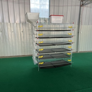 Poulaillers commerciaux <span class=keywords><strong>de</strong></span> grande capacité pour la production d'œufs, 330-350 <span class=keywords><strong>cailles</strong></span> - Product Image 2