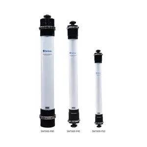 Scinor mobile purification system Ultrafiltration membrane reverse osmosis water treatment station