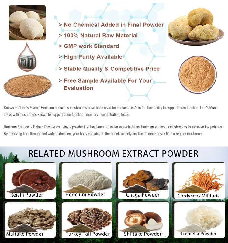 How to Store Dried Chaga for Maximum Potency And Shelf Life 