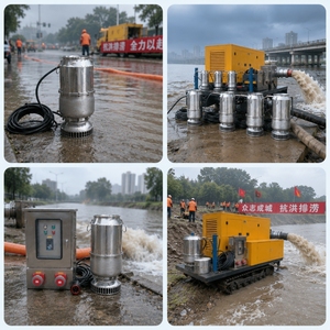 Camión con Bomba <span class=keywords><strong>de</strong></span> <span class=keywords><strong>Riego</strong></span> Agrícola <span class=keywords><strong>de</strong></span> Gran Cilindrada con Motor Diésel para Aspersores - Product Image 3