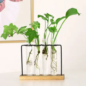 Newest Arrival Hydroponic Plants Container with Wood Frame Clear Glass Test Tube Vase for Home Decoration