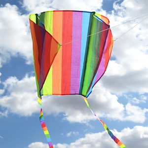 Yuanfei Cerfs-volants de poche multicolores en nylon 47x74cm avec poignée en PE et ligne de 30m Sports Musique Fantaisie Science-fiction Amérique Photographie Couture - Product Image 1