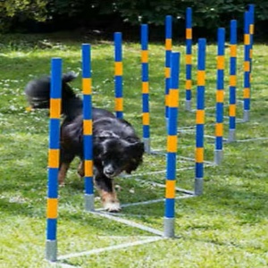 Postes de Agilidad para Perros de 12 Puntas - Postes de Slalom Ajustables para Entrenamiento de Agilidad Canina con Certificación FCI - Product Image 4