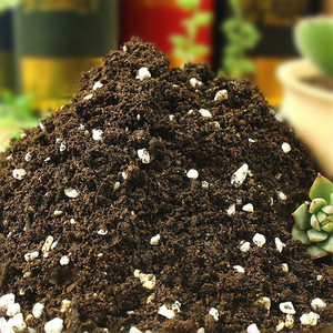 Substrat nutritif pour plantes succulentes 15kg, mélange de terreau organique granulaire pour plantes d'intérieur et pots de fleurs - Product Image 1