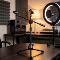 Support de microphone, petite guitare pour enfants, instrument Erhu, violon à tête de cheval, tambour de sol, support de microphone trépied