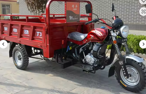 Tricycle à essence pas cher, <span class=keywords><strong>moto</strong></span> à trois roues ouverte avec side-car, tricycle/rickshaw motorisé pour le transport de marchandises, mini <span class=keywords><strong>camion</strong></span> - Product Image 4