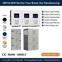 Batería Solar de Iones de Litio, Paquete de Baterías de 51.2V 300Ah, 10kWh 20KW 40KW 50KW, Compatible con Carga de Vehículos Eléctricos, Almacenamiento de Energía Doméstica, Carga Pico, CE