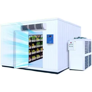 High Quality Walk-in Deep Freezer Seafood Chilling Room Storage Meat Products Cold Storage