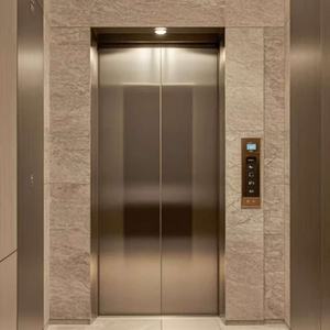 Ascensor de Pasajeros OTIS Moderno para Hotel o Casa Pequeña, de PVC, con Aire Acondicionado, Acero Inoxidable, Ligero, Capacidad de 320 kg/400 kg/450 kg, Económico - Product Image 2