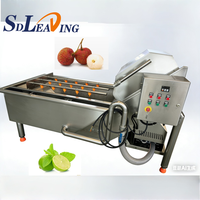 Machine à laver à bulles d'air utilisée pour le nettoyage des légumes et des fruits, machine à laver le poulet, machine à nettoyer les aliments congelés