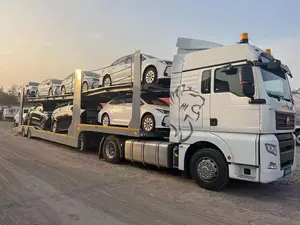 Xe tàu sân bay bán Trailer cho 10 xe ô tô Giao thông vận tải màu xanh xe giao thông vận tải trailers bán tại Dubai