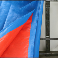 Bâche anti-UV 4FTx6FT 6FTx6FT, imperméable, résistante aux UV, tissée, Trapal Tolda, couverture de tente d'extérieur, style uni, motif enduit