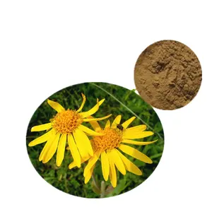 Extracto Natural de alta calidad, hierba de Arnica, Montana, gran oferta, 10:1