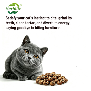 Haccp New Product Freeze-Dried Matatabi Insect Gall Fruit Silver Vine Actinidia Polygama for Cat Chew <b>Toy</b> & Cat Snack - Product Image 3